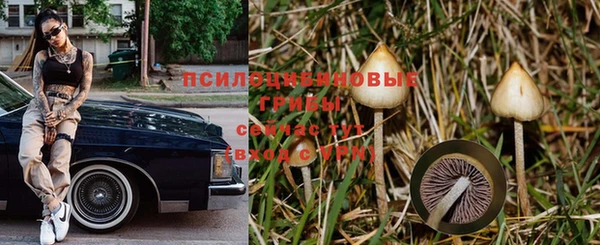 стафф Алексеевка