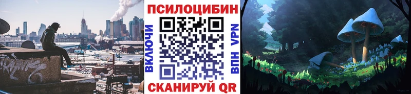 Псилоцибиновые грибы Psilocybine cubensis Саранск