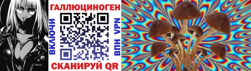 Галлюциногенные грибы GOLDEN TEACHER Саранск