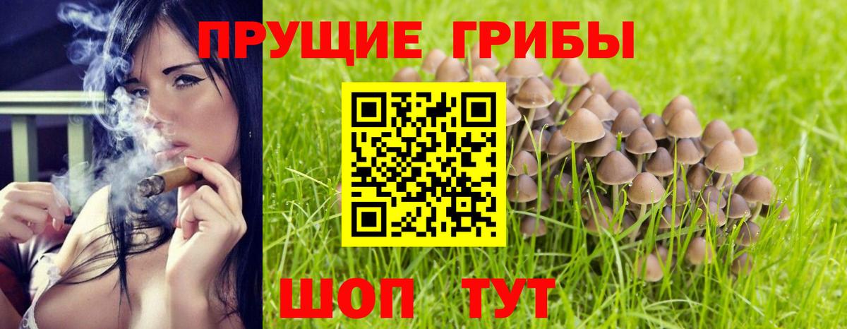 Галлюциногенные грибы ЛСД  Галлюциногенные грибы MAGIC MUSHROOMS  Вход с VPN  Саранск 
