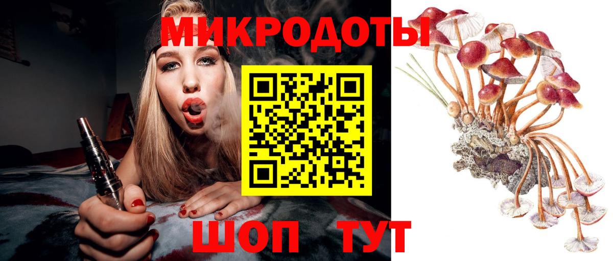 Псилоцибиновые грибы Cubensis Саранск