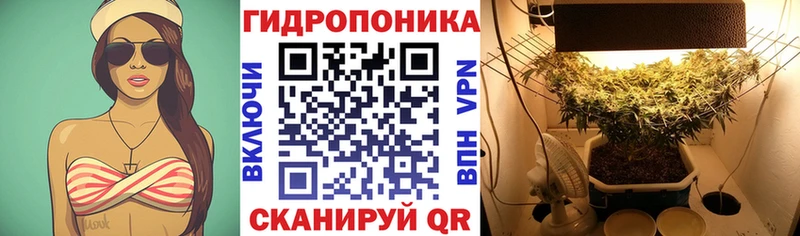 blacksprut зеркало  Саранск  Бошки Шишки MAZAR  наркота 